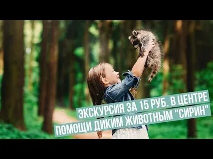 Помощь диким