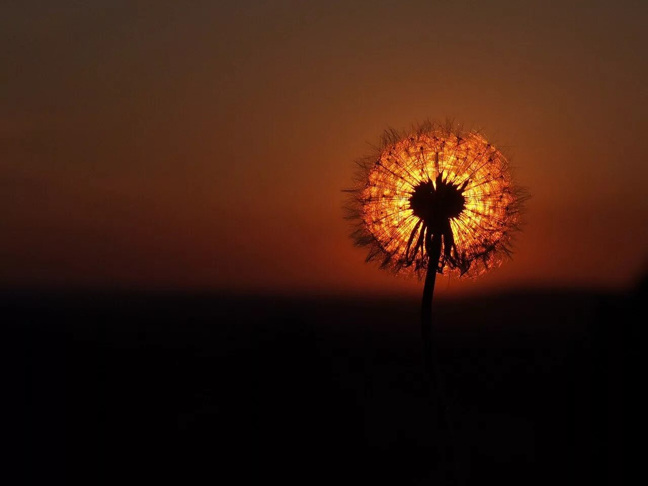 Черное солнце. Темное солнце. Полное солнечниезатмение. Темное солнышко. Темное солнце.