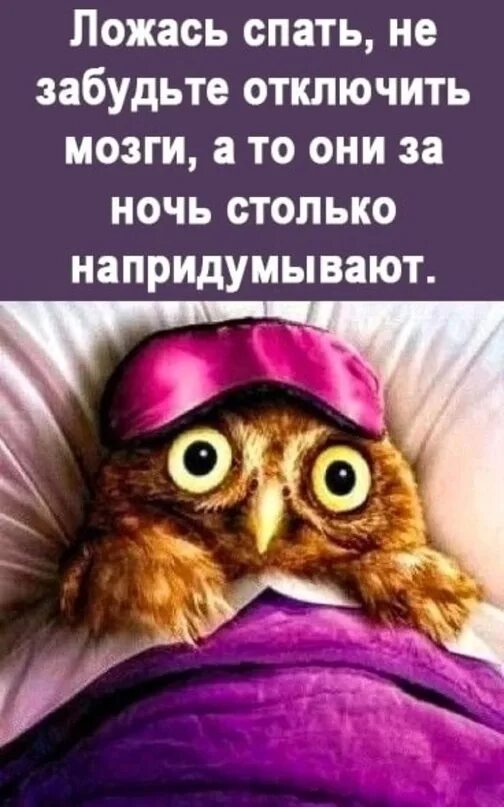 Утро ты само то хоть выспалось чудовище. Ты само то выспалось. Привет утро ты само то хоть выспалось чудовище каждодневное. Утро ты само то хоть выспалось чудовище. Ты само то выспалось.