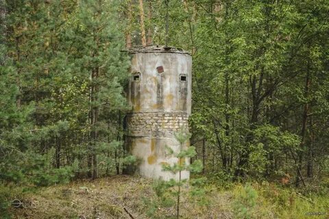 Гомель 30
