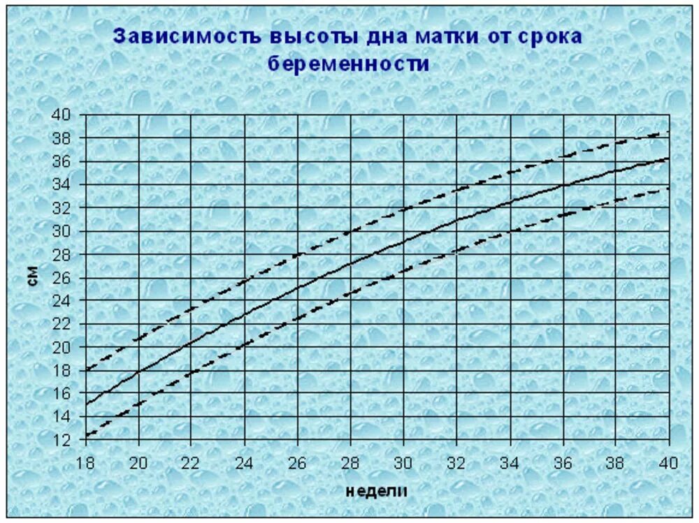 1 2 недели в зависимости. Высота матки по неделям беременности норма таблица. Высота дна матки при беременности норма по неделям. Высота стояния дна матки по неделям беременности таблица норма. Высота дня матки потнеделям.