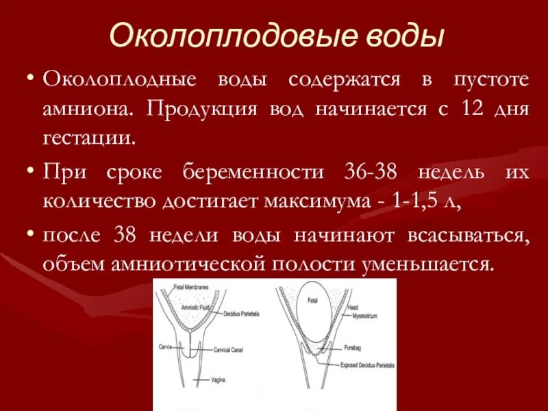 Сколько должно отходить вод. Количество околоплодных вод. Максимальный карман околоплодных вод. Сколько объем околоплодных вод. Нормальное количество околоплодных вод сколько.