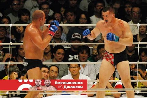 Фёдор Емельяненко победил Мирко Крокопа.