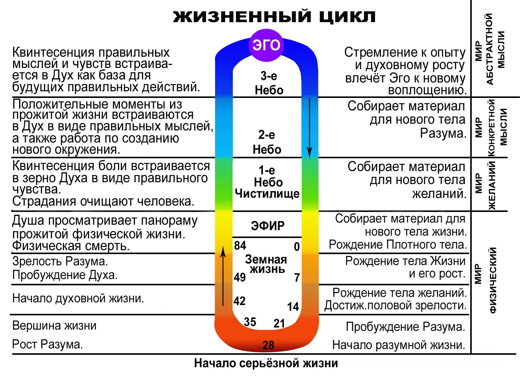 8 циклов жизни