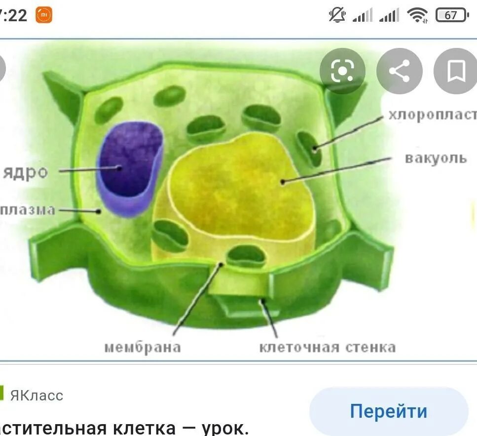 Помогите пожалуйста мне нужно очень - Мегамозг.com