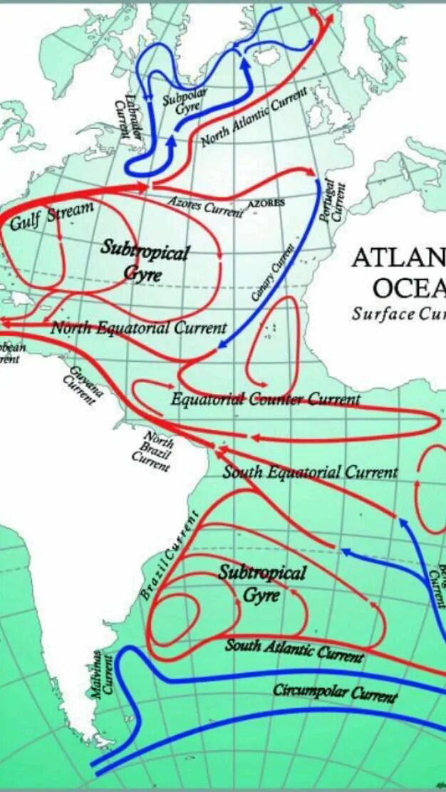 Назовите теплые течения атлантического океана. Карта течений Атлантического океана. Течения Атлантического океана теплые и холодные на карте. Течения Атлантического океана теплые и холодные. Теплые течения Атлантического океана.