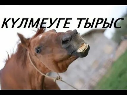 Анам тазалау порно видео