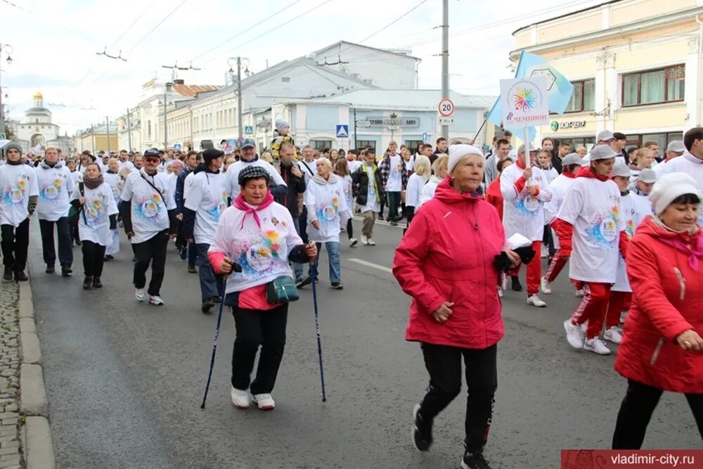 Программа праздника во владимире. Молодежный центр. День во владимире новости сегодня. Мероприятия в парке. Что за мероприятие сегодня в владимире.