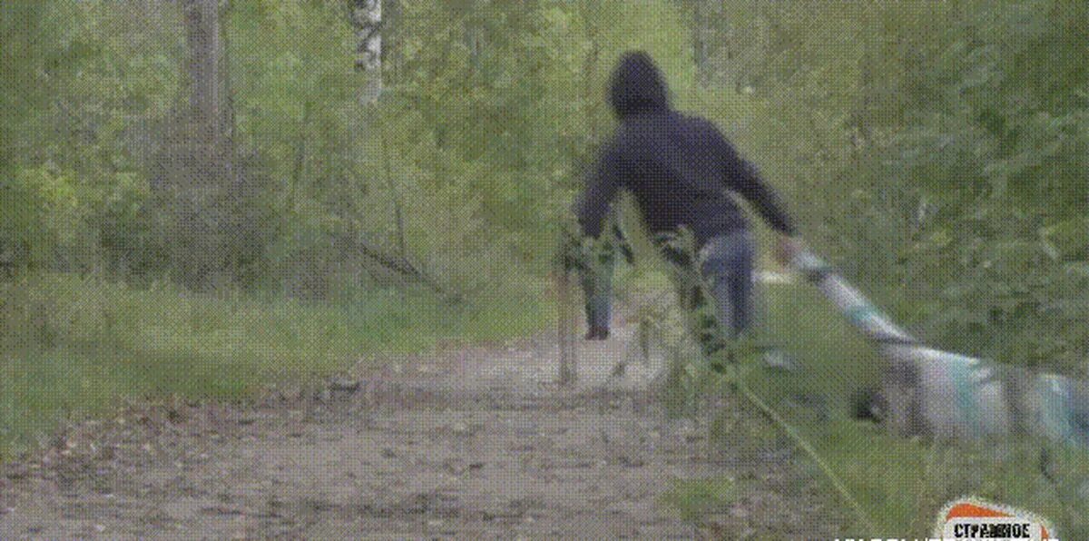 Gif приколы. МАНЬЯК С топором бежит.