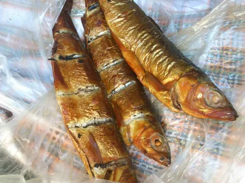 омуль вяленый. омуль рыба вяленая. на байкаеипродают вместо омуля. вместо омуля на байкале продают. иркутск омуль.