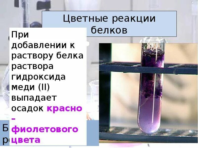 Окраска гидроксида меди 2. Качественные реакции на белки. Белок с гидроксидом меди 2. Цветные качественные реакции на белки. Фиолетовый осадок.