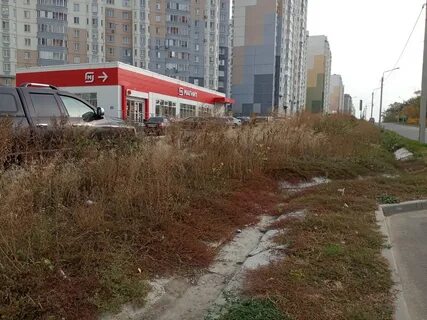 Работа курск клыкова