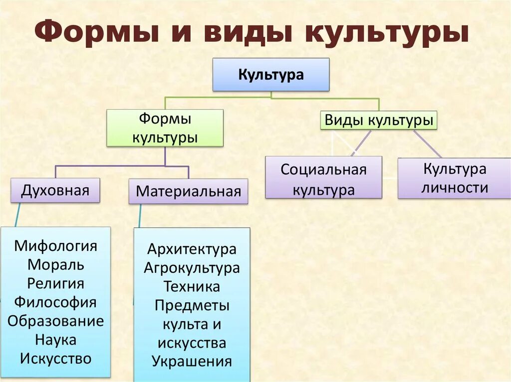 Формы духовной культуры обществознание 6 класс. Духовная культура формы духовной культуры. Перечислите виды культуры. Культура виды и формы культуры. Формы и разновидности культуры.