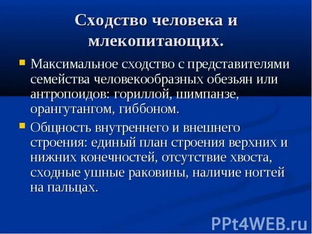 Сходство человека и животных свидетельствует об их. Сходство человека с млекопитающими. Схожесть человека и млекопитающих. Черты сходства человека с млекопитающими. Сходство человека и млекопитающих животных.