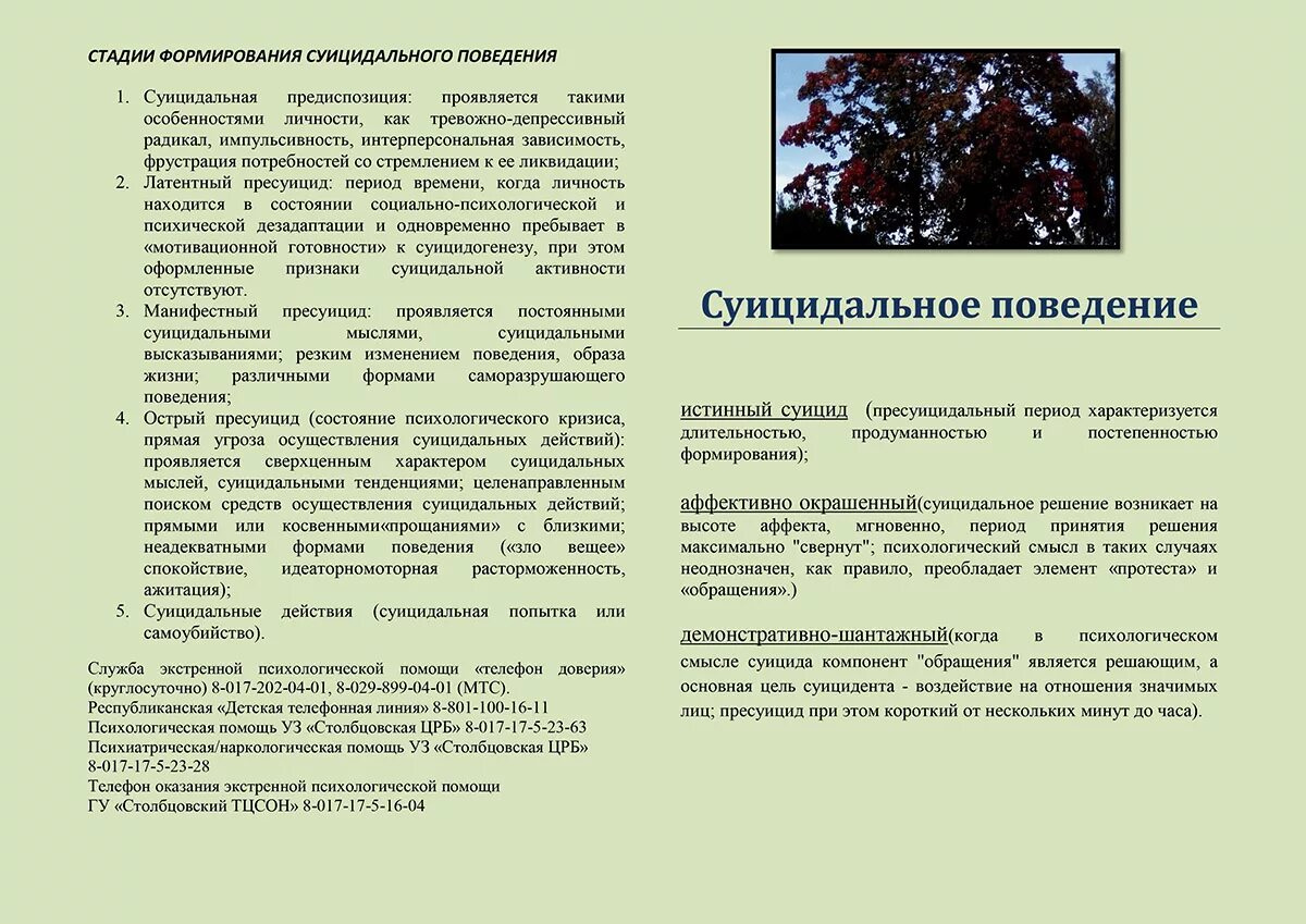 Помощь при суицидальном поведении. Алгоритм оказания помощи при суицидальном поведении. Оказания неотложной помощи при суицидальном поведении. Алгоритм действий при суициде.