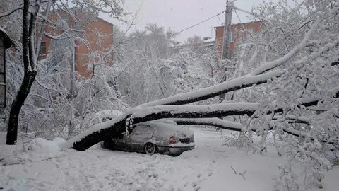 Снегопад стихийное бедствие