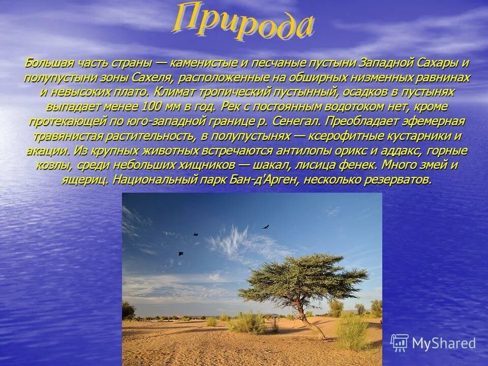 район сахель в африке. сообщение о мавритании. сахель на карте африки. антропогенные причины опустынивания. какой климат в сахеле.