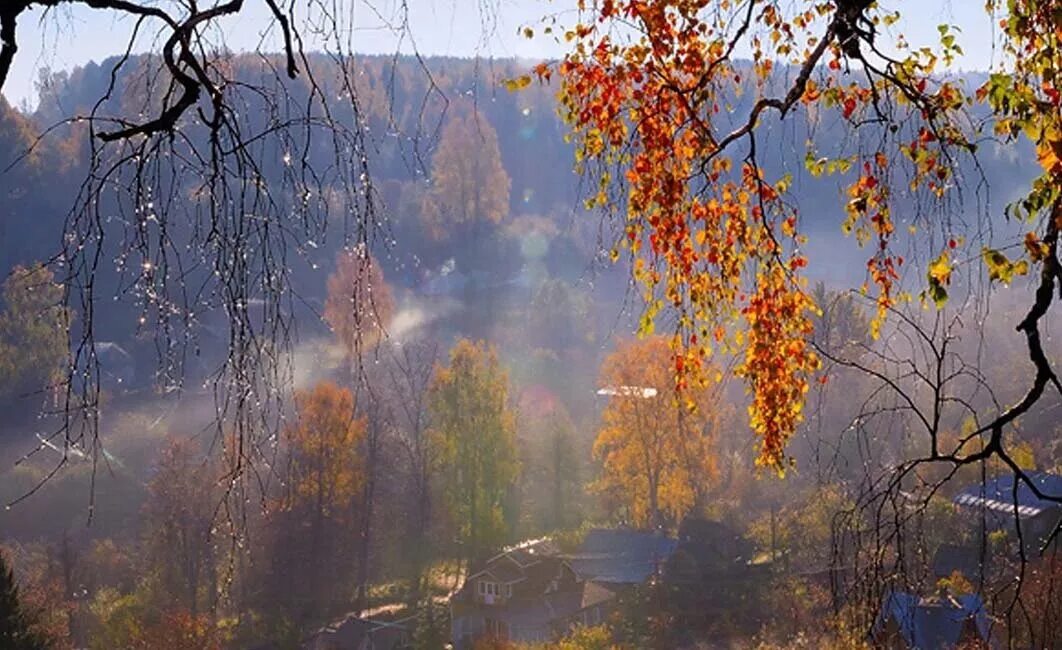 Дождливая осень. Дождь осенью. Осенний ливень. Пасмурная осень. По настоящему осенний дождь