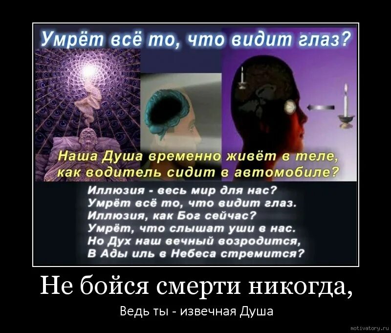 Что ублет после смерти. Страх это иллюзия. Что видит человек после смерти. Видит ли человек после смерти. Почему перед смертью видят