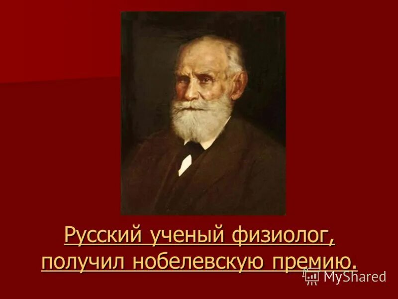 ученый физиолог изучает. иван петрович павлов (1849 — 1936). иван павлов биолог. ученый физиолог изучает. ученый физиолог изучает.