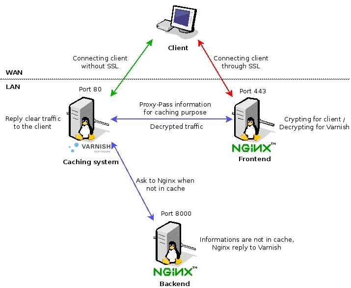 Установить ssl соединение. Веб сервер nginx. Порт SSL. Nginx протокол. Nginx кэширование.