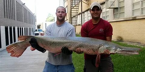 Самая большая рыба на удочку