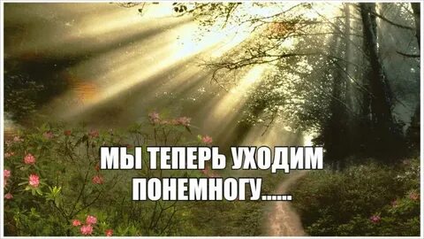 Понемногу уходить