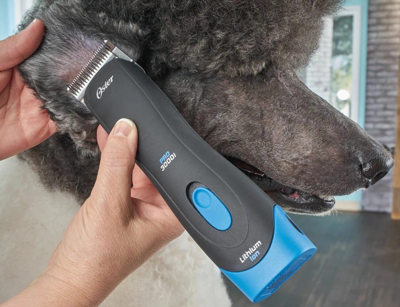 Какие хорошие машинки для стрижки собак. Машинка для стрижки животных Pet Grooming hair Clipper Kit. Машинка для стрижки собак Andis Pulse ion. Машинка для стрижки собак Pet Grooming hair без насадки 3 мм. Машинка для стрижки Браун вел собак.