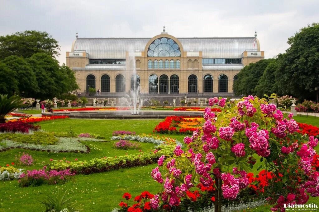 сад злаков в ботаническом саду в твери. розы в тенистом саду. сады заработают. вюрцбург парковое искусство. озеленение территории магнитогорска.