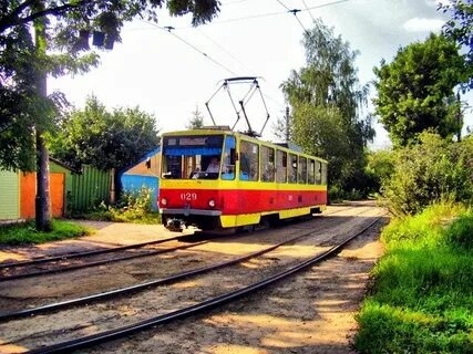 Курск жж