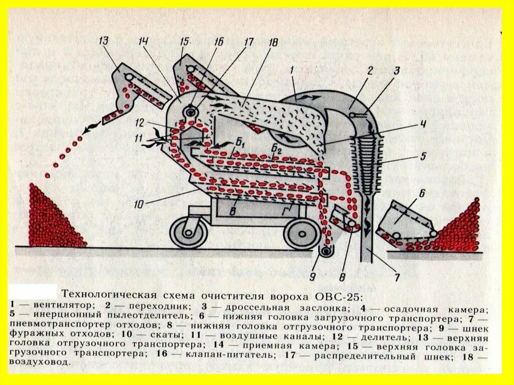 Очистка зерна сканворд. Очиститель зерна ОВС-25 схема. Машина послеуборочной обработки зерна ОВС 25. Очистная машина ОВС 25 схема. Зерноочистительная машина ОВС 25 схема.