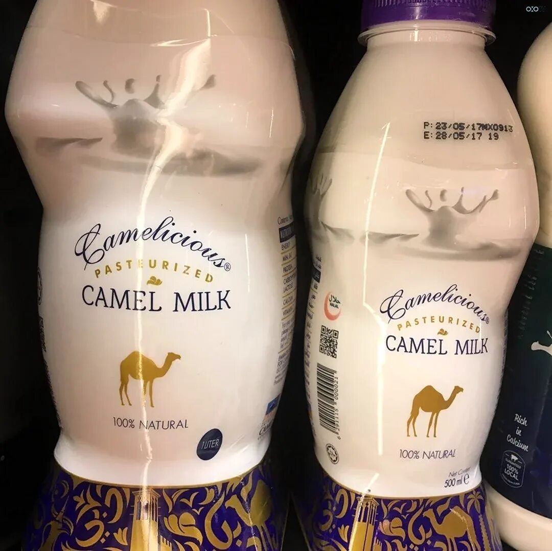 Camel milk powder. Верблюжье молочко для лица. Молоко верблюдицы. Продукты из верблюжьего молока. Сухое верблюжье молоко.