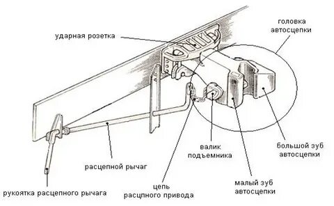 Расстояние от головки автосцепки до ударной розетки