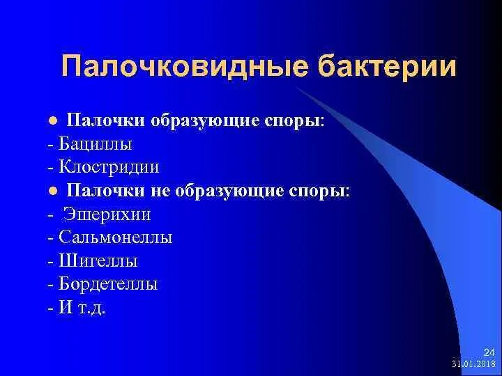 Микроорганизмы образующие споры. Палочковидные бактерии образующие споры. Бактерии не образующие спор. Палочковидные микроорганизмы образующие споры. • Бактерии палочки не образующие споры.