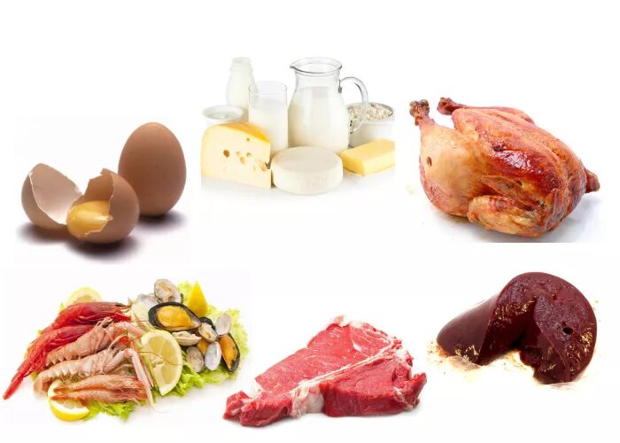 Куриная печень холестерин. Продукты животного происхождения. Пищевые продукты животного происхождения. Продукты животного происхождения мясо. Мясо рыба молоко.