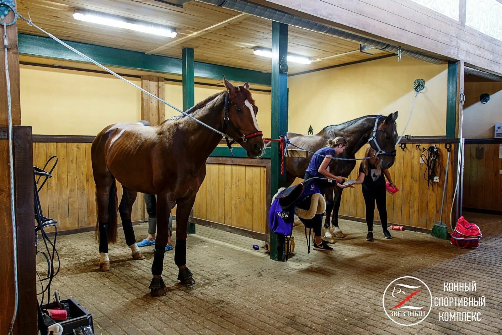 кск конкорд денники. кск звездный денники. конюшня дивный. московская конюшня. конюшня грин хорс семеновское.