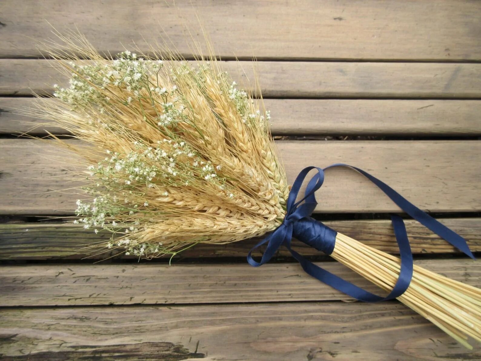 Колос метелка початок. Соцветия кукурузы и мельчатых злаков. Вейник болотный. Соцветие сложный колос, метелка. Метелка колосков.