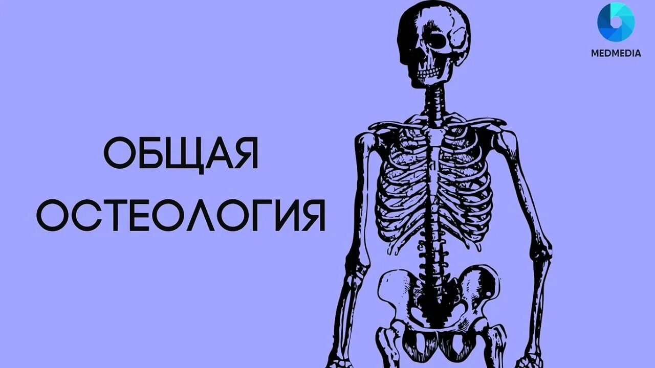 Какая наука изучает скелет