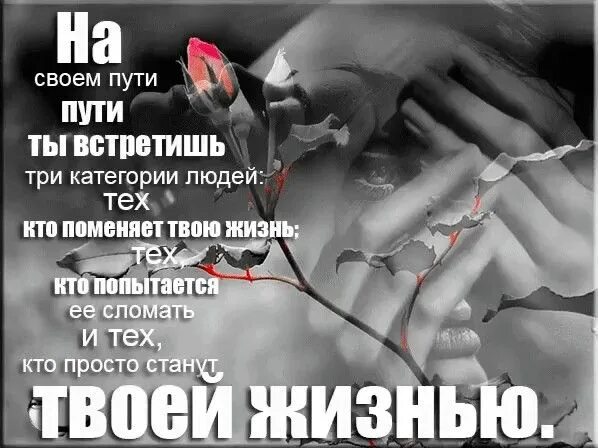 Изменить имя и фамилию в ВК без проверки администратора в 2023 году Праводел