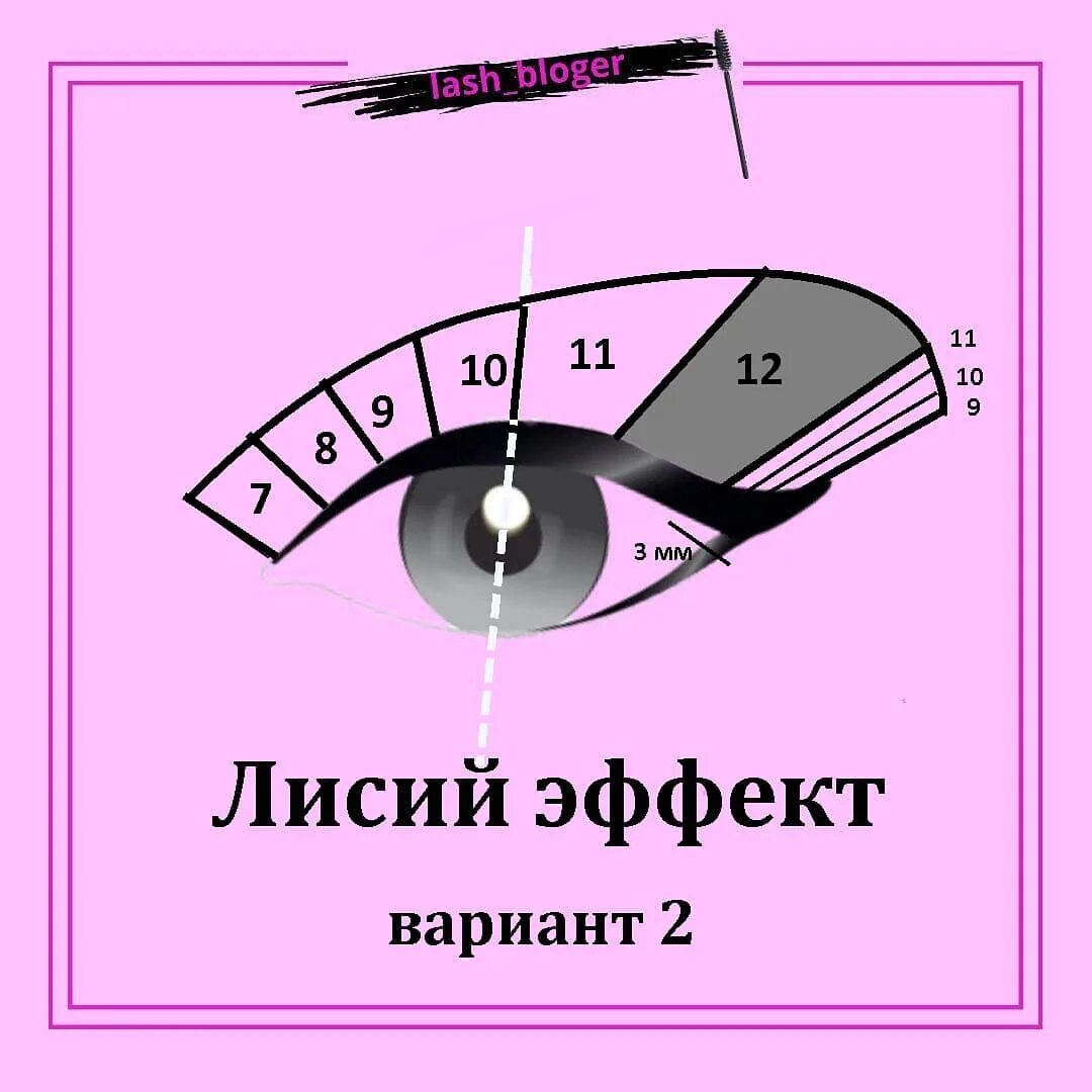 Схема наращивания лисий. Лисий эффект схема. Схема Лисий эффект схема. Лисий эффект схема наращивания. Схемы наращивания ресниц.