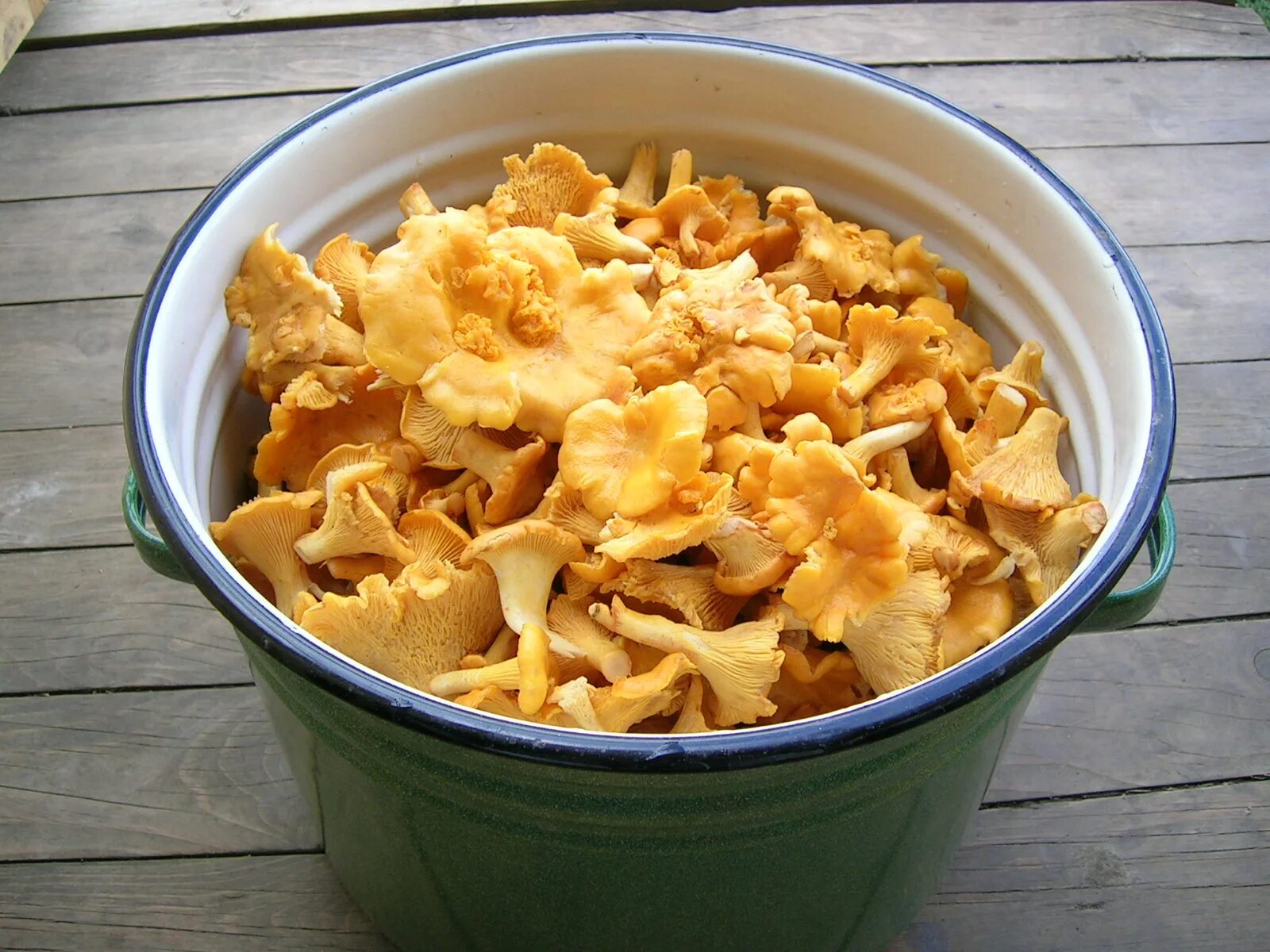 Сыр с грибами лисичками