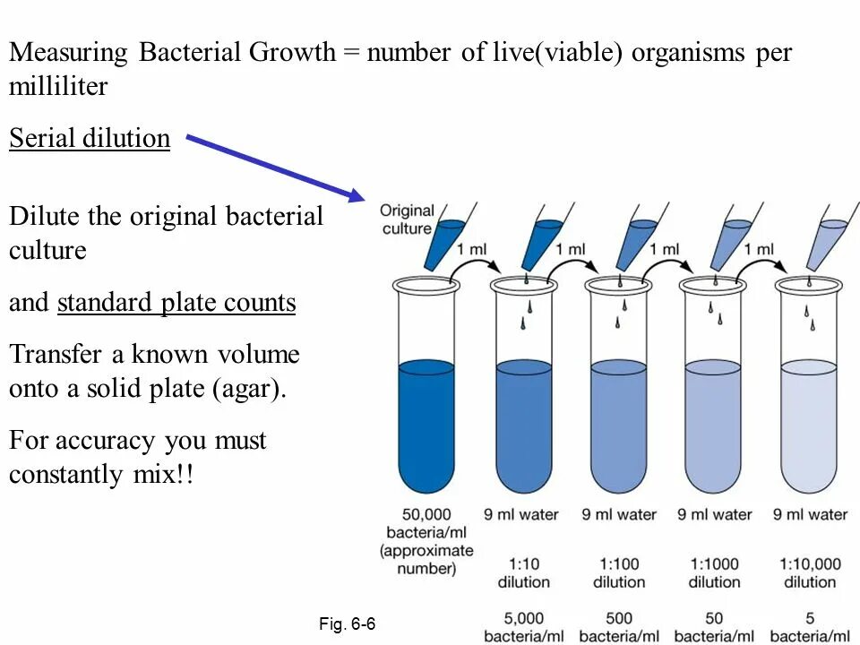 Growth number. Крупнейшие цоды россии. Growth number. Рост числа пользователей интернета. Статистика пользователей интернета в россии.