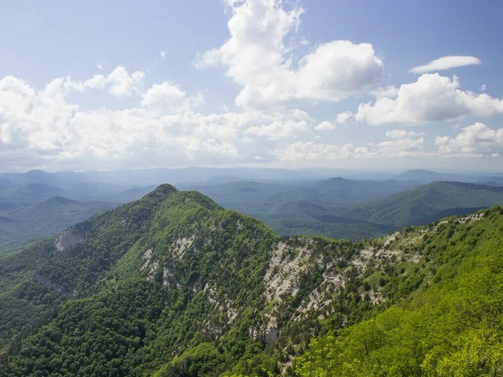 Красноярск краснодарского края. Гора Афипс Краснодарский край. Гора Папай Краснодарский край. Гора большой Афипс в Геленджике.