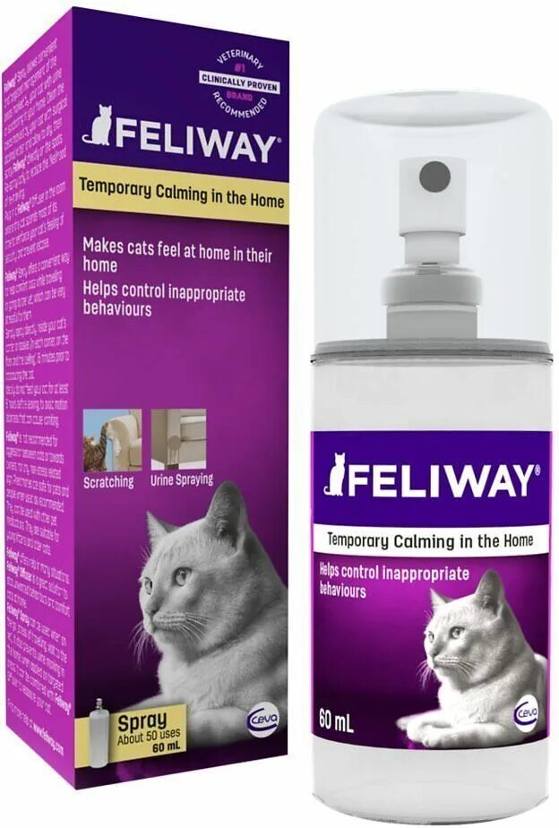 Феливей спрей для котов. Феромон Feliway. Феливей ошейник. Успокоительное для кошек Феливей. Успокоительное для кошек во время