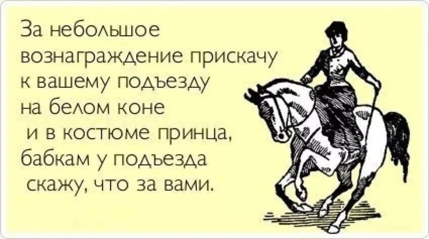 Принц на белом коне прикол. Шутки про принца на белом коне. Анекдот про принца на белом коне. Шутка про принца и коня.