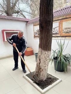 Буйнакск мастера