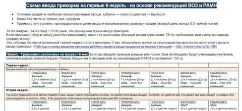Воз прикорм при грудном вскармливании