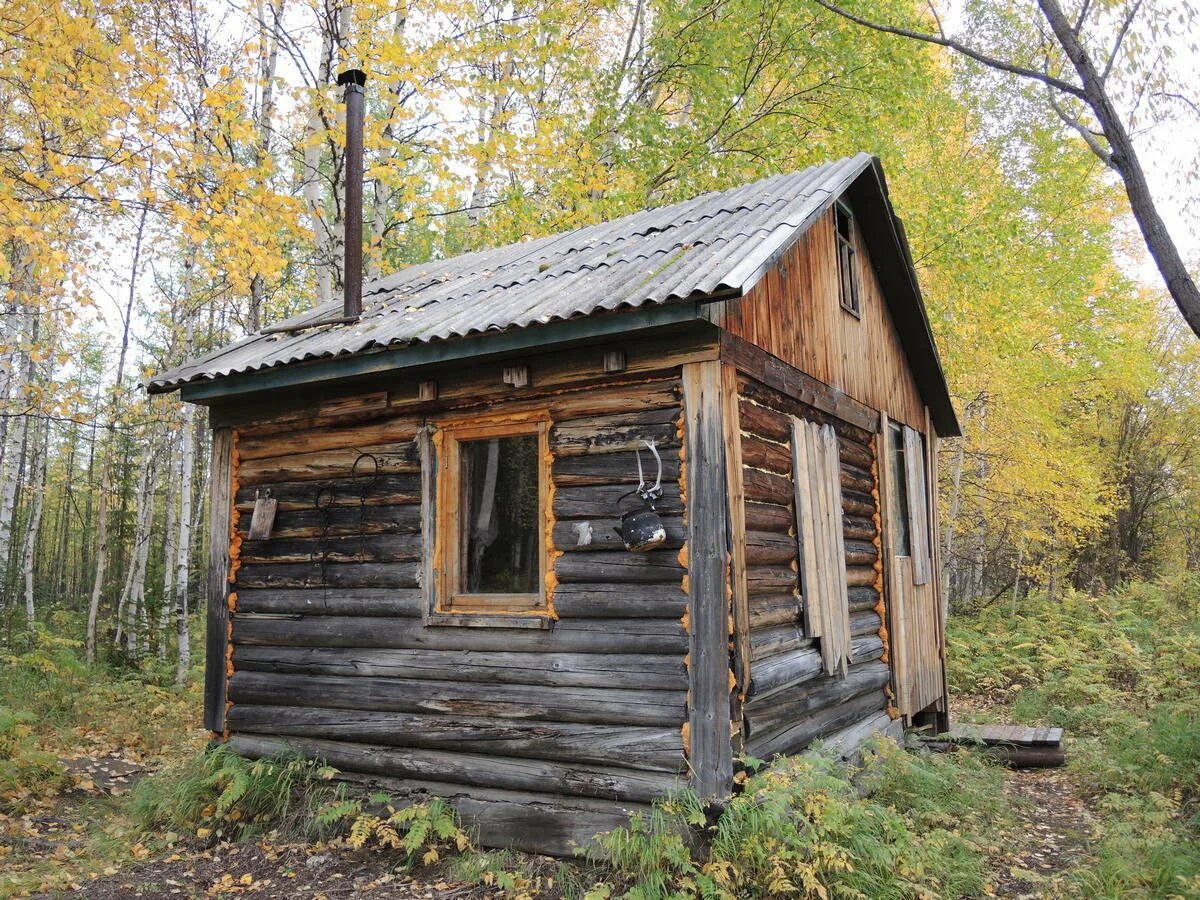 Домик лесника в тайге. Романов остров верхнетоемский район деревня. Таежная заимка карелия. Охотничья изба в тайге. Друскининкай лес избушка.