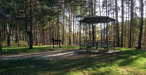 Роща тюмень