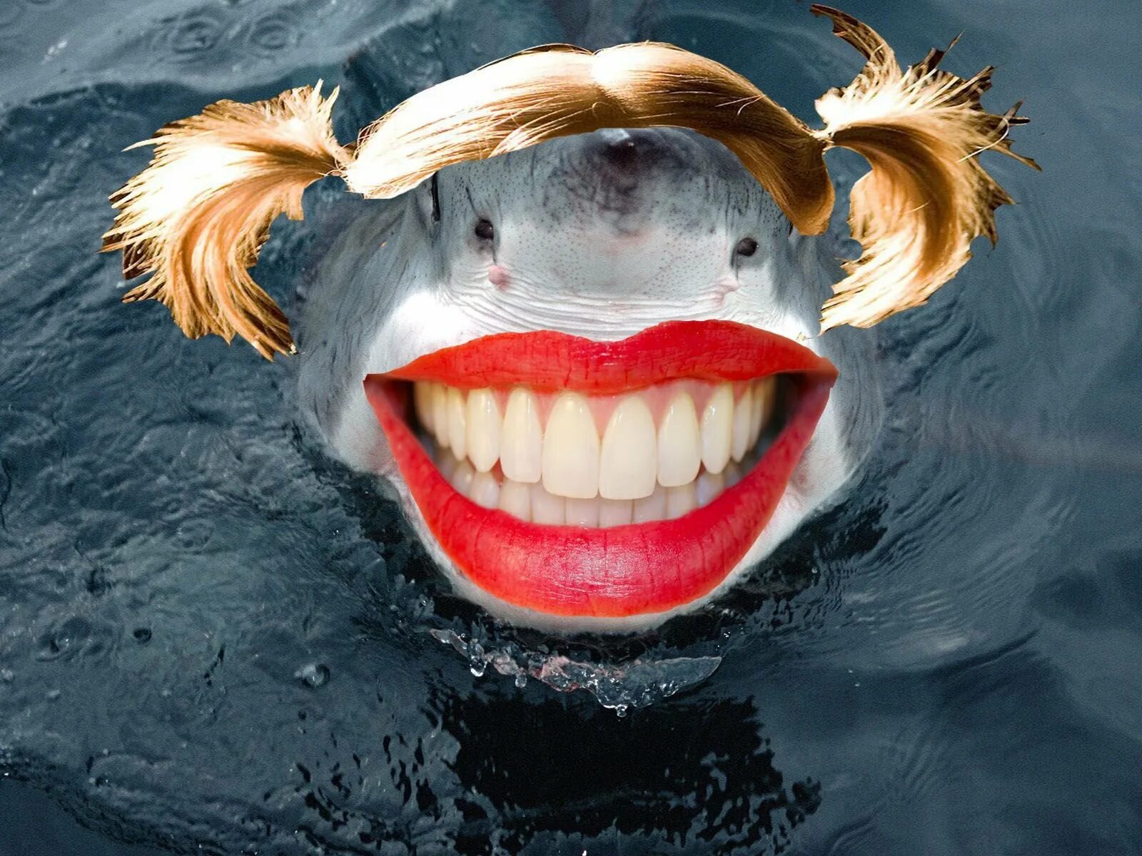 Акула улыбается. Рыба улыбается. Shark human
